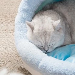 Home Decor 10 Styles Of Kawaii Cute Cozy Cat And Dog Beds | Large Entry