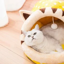 Home Decor 10 Styles Of Kawaii Cute Cozy Cat And Dog Beds | Large Entry