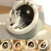 Home Decor Adorable Cat Dog Pet Beds Hideout Caves