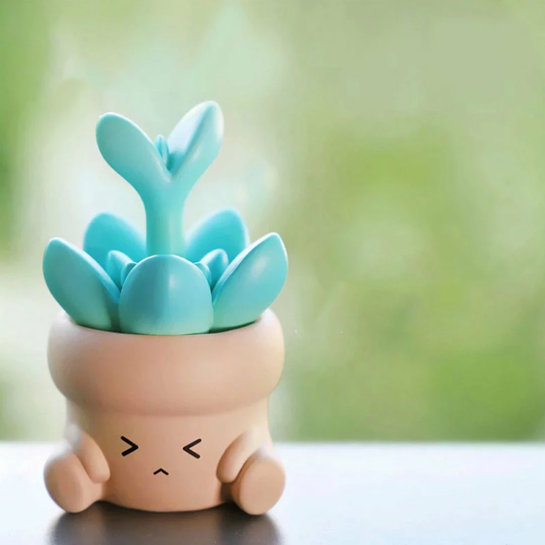 Toys Blind Box | Adorable Succulent Collectibles 5 Toys Blind Box | Adorable Succulent Collectibles
