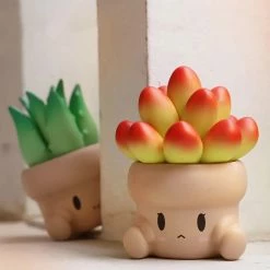 Toys Blind Box | Adorable Succulent Collectibles
