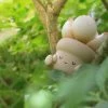 Toys Blind Box | Adorable Succulent Collectibles