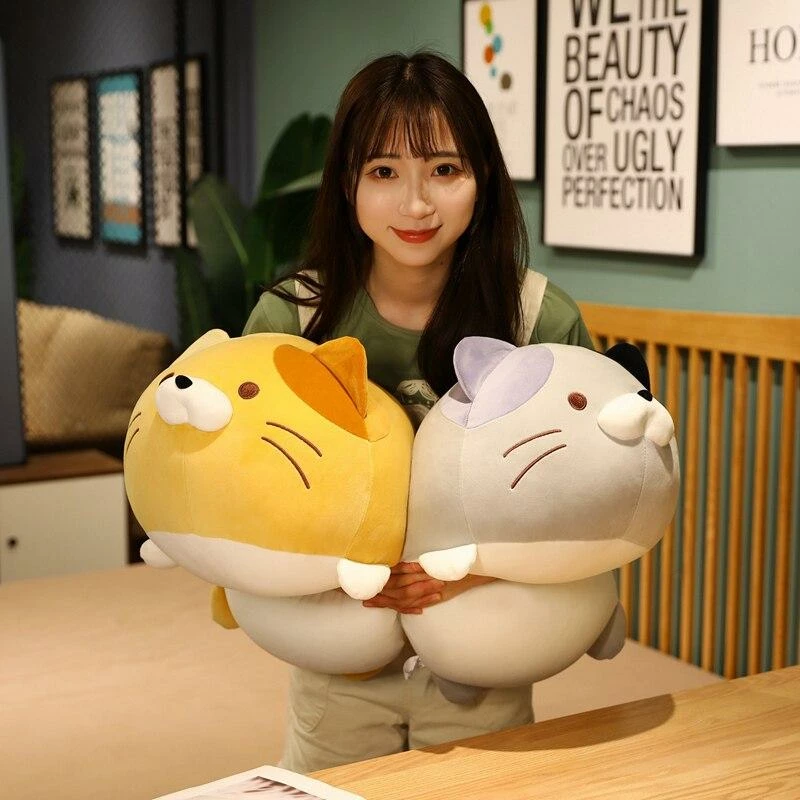 Soft Toy Chubby Cat Squad Plush & Toys 5 Soft Toy Chubby Cat Squad Plush & Toys