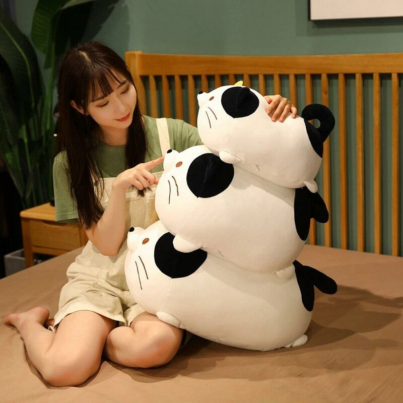 Soft Toy Chubby Cat Squad Plush & Toys 6 Soft Toy Chubby Cat Squad Plush & Toys