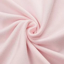 Apparel Japanese Sakura Mt Fuji Shrine Cherry Blossom Women's Tee