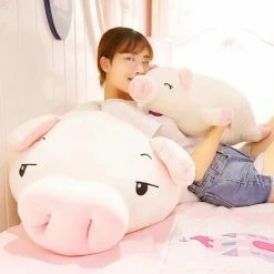 Soft Toy Plush & Toys Jeju The Piggy - Exclusive 21 Soft Toy Plush & Toys Jeju The Piggy - Exclusive
