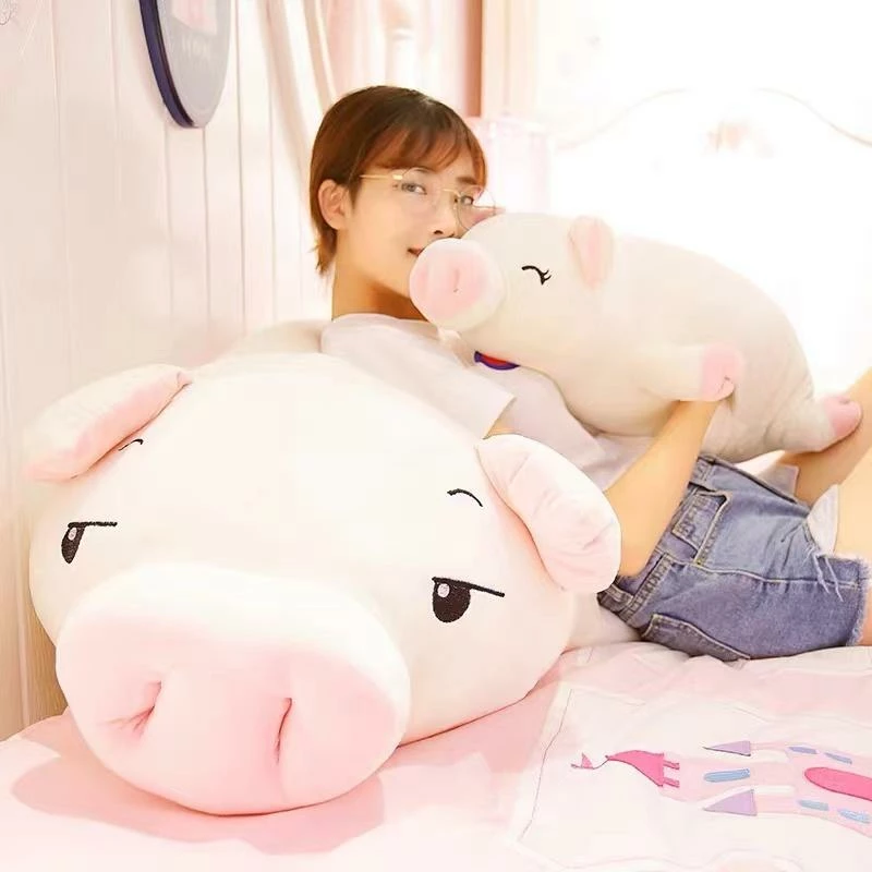 Soft Toy Plush & Toys Jeju The Piggy - Exclusive 6 Soft Toy Plush & Toys Jeju The Piggy - Exclusive
