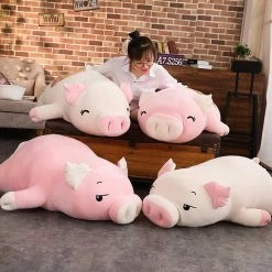 Soft Toy Plush & Toys Jeju The Piggy - Exclusive 28 Soft Toy Plush & Toys Jeju The Piggy - Exclusive
