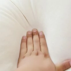 Soft Toy Plush & Toys Long Kawaii Shiba Inu Buddies