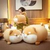Soft Toy Plush & Toys Plumpy Blushing Shiba