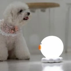 Home Decor Round Octopus LED Night Light