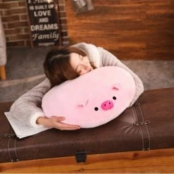 Home Decor Home & Pets Round Piggy Cushion