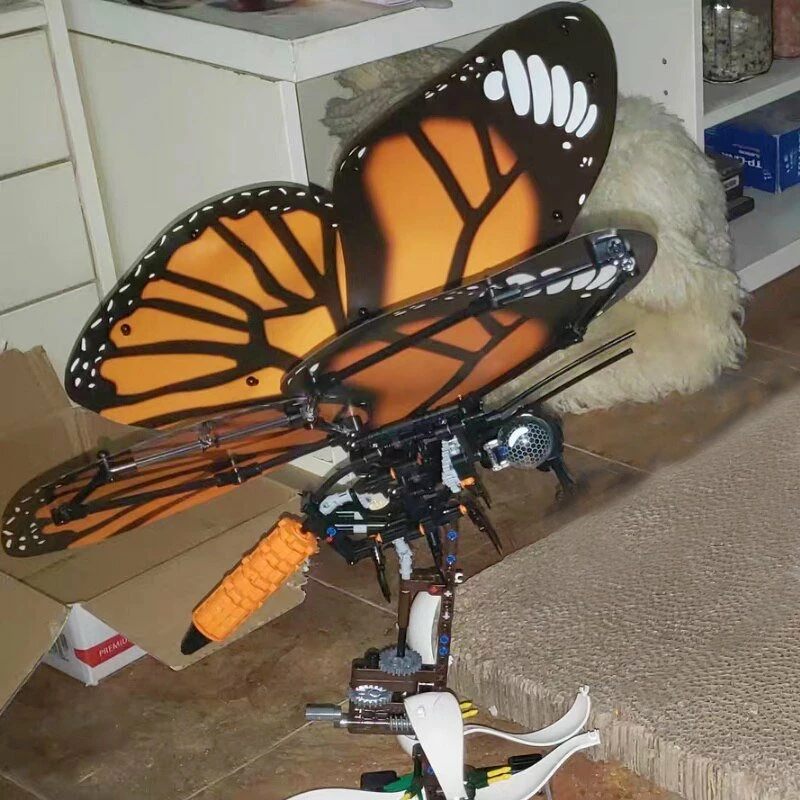 Build It Swallowtail Butterfly And Tabby Butterfly 12 Build It Swallowtail Butterfly And Tabby Butterfly