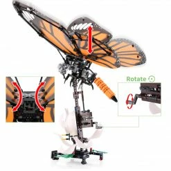 Build It Swallowtail Butterfly And Tabby Butterfly 29 Build It Swallowtail Butterfly And Tabby Butterfly