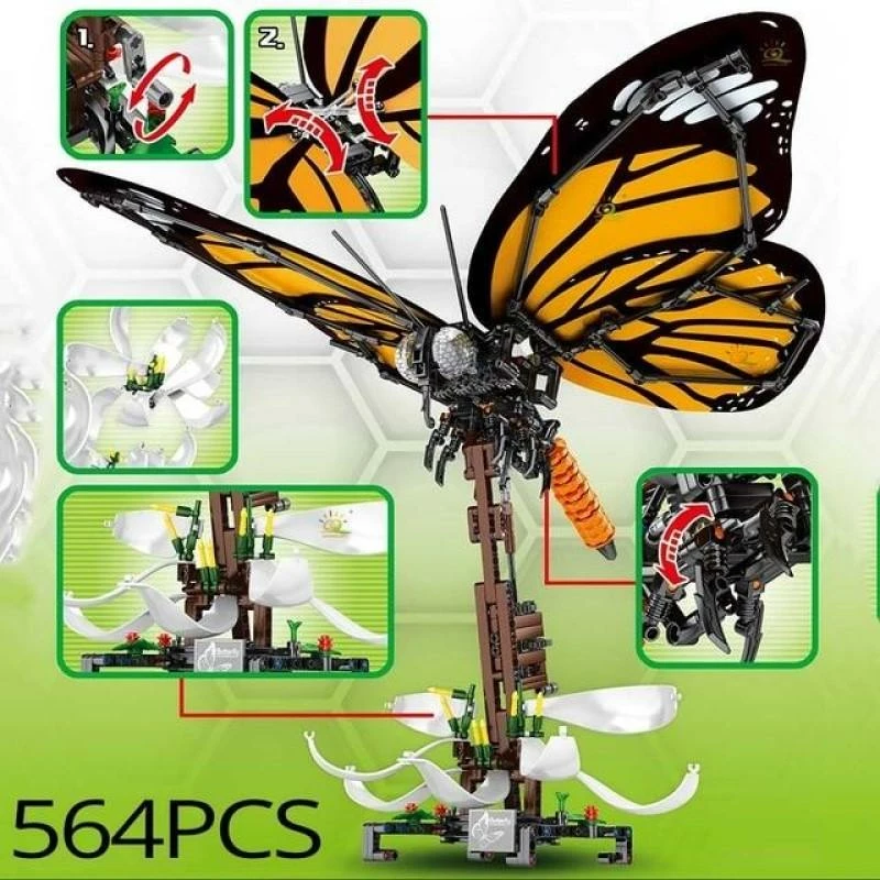 Build It Swallowtail Butterfly And Tabby Butterfly 11 Build It Swallowtail Butterfly And Tabby Butterfly