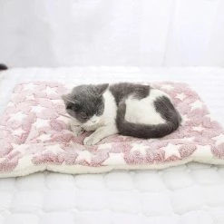 Home Decor Twinkle Little Stars Soft Cat And Dog Bed Pet Beds