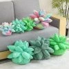 Soft Toy Plush & Toys Vibrant Succulent Plush Squad 2 Soft Toy Plush & Toys Vibrant Succulent Plush Squad