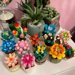 Build It Mystery Blind Box Flower Succulent Cactus Building Blocks